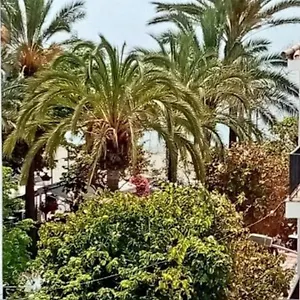 https://beach-apartments.1costadelsol.com
